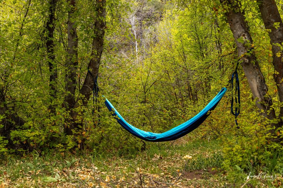 rules of camping in utah hammock strung between two trees