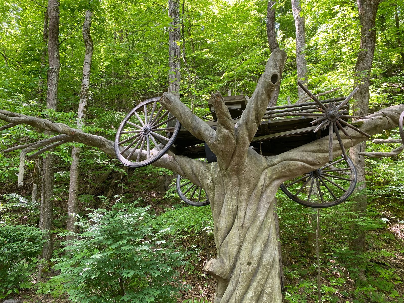1800's wooden carriage or cart in a tree with one of the wheels broken, Guide to Dollywood