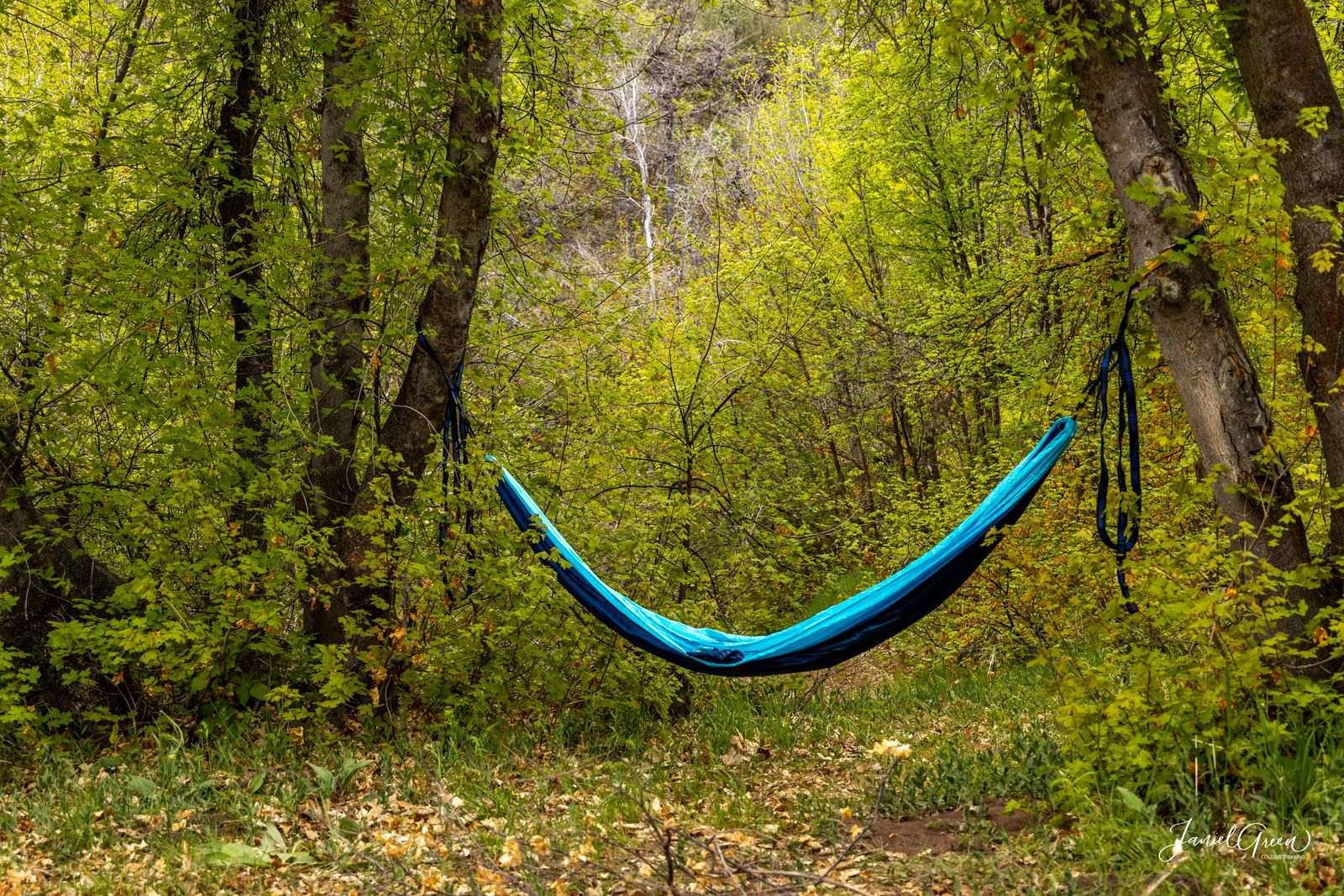 rules of camping in utah hammock strung between two trees