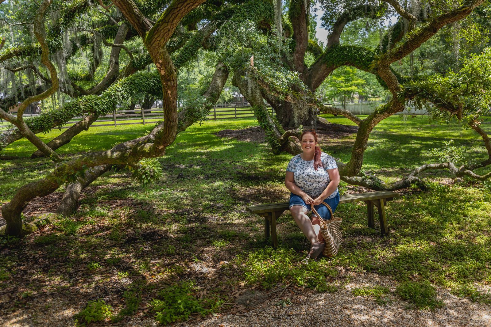 Janiel sitting in front of old oak tree at Destrehan
