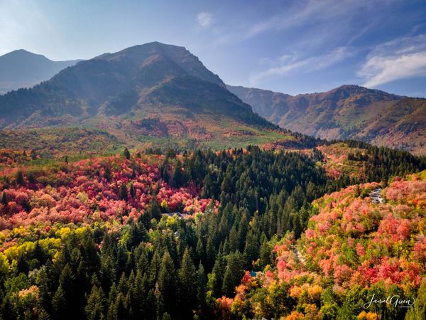 and to think they're missing the fall leaves changing up in the canyon 