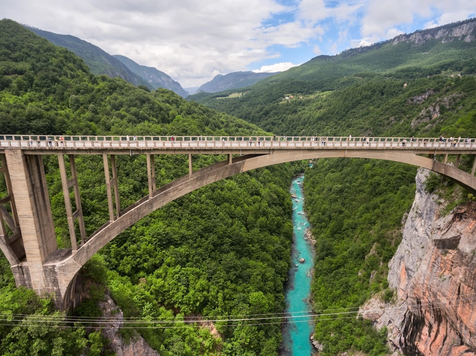 Tara River under Tara Bridge