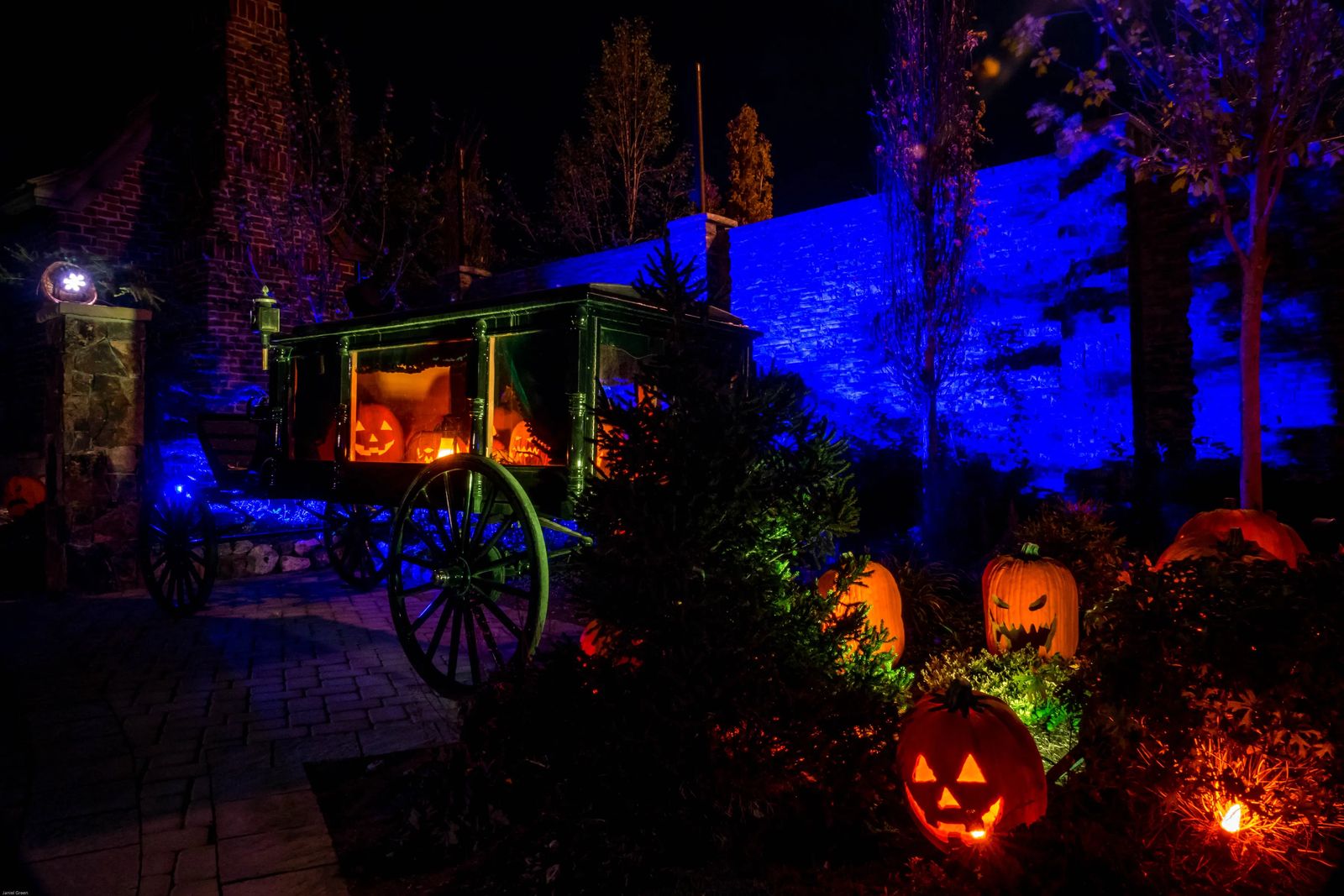 spooky carriage with lighted pumpkins