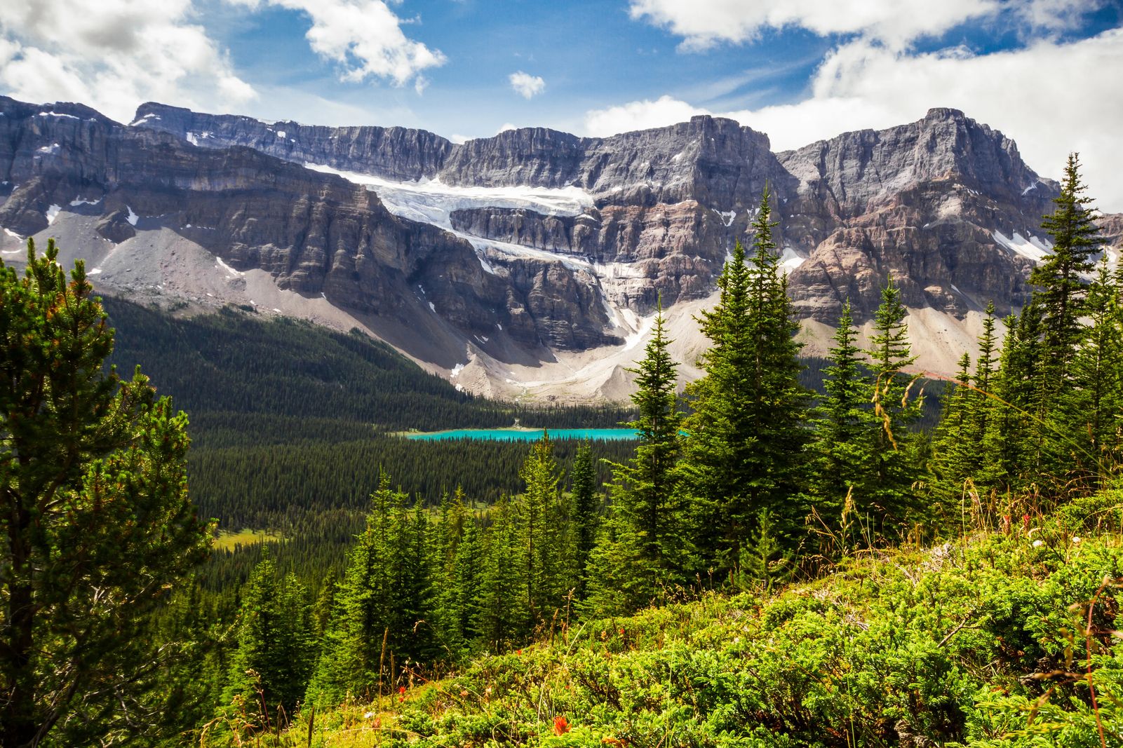 The BEST of the Icefields Parkway Banff