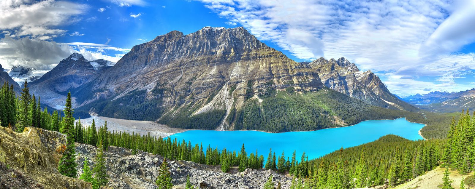 bright blue Peyto Lake that looks like it is the shape of a wolf at the base of the mountains