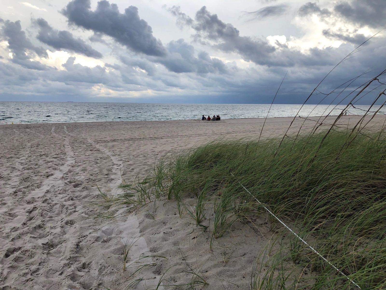 Saving Sea Turtles in Florida