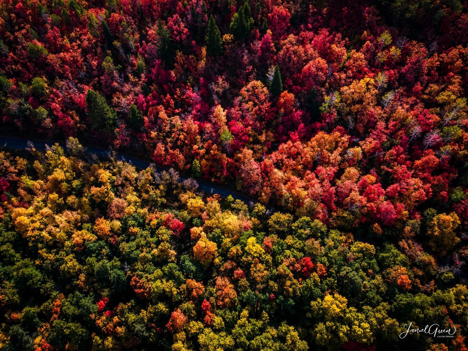 Red and green and yellow fall colors in utah