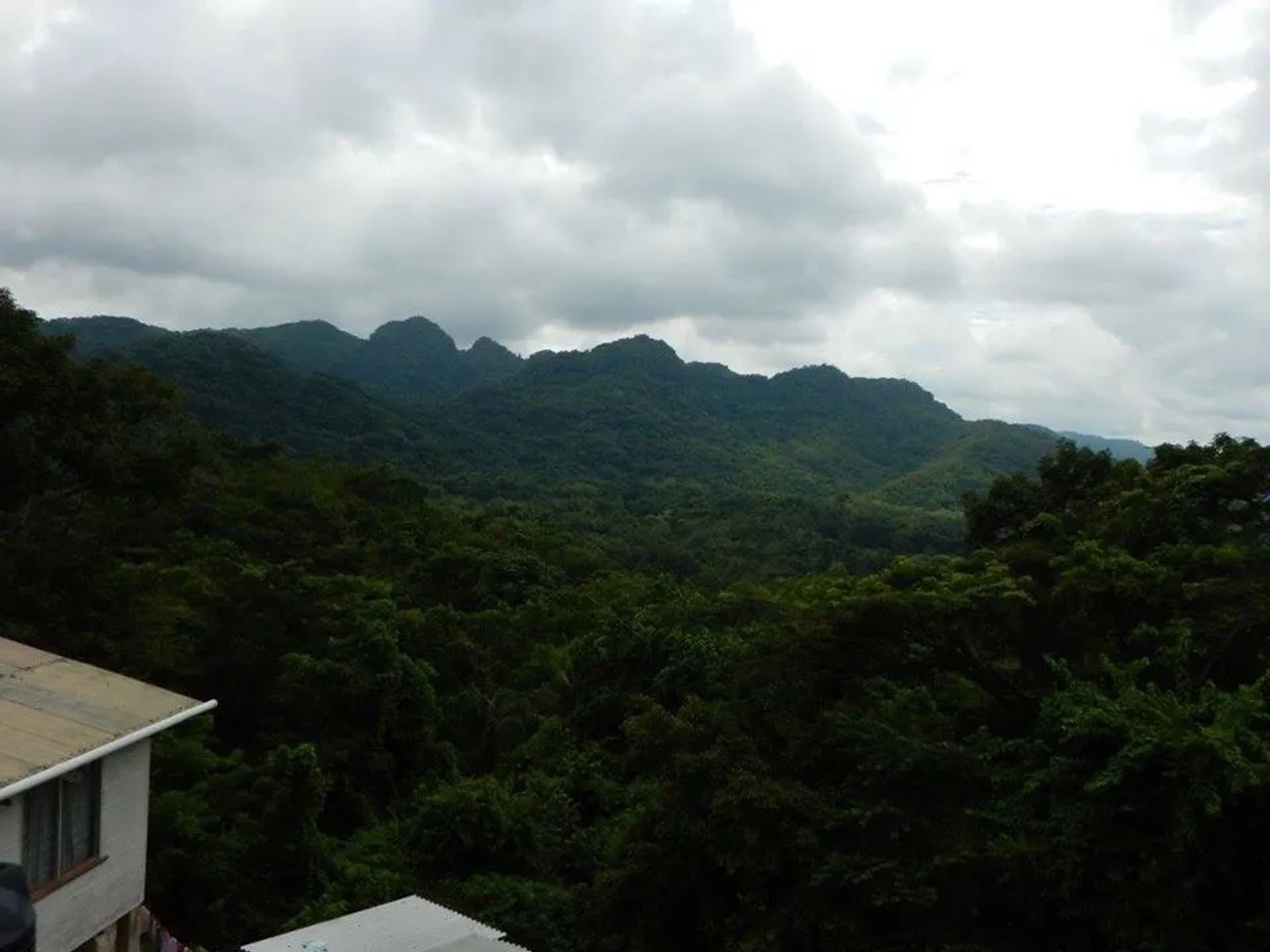 Blue Mountains in Jamaica's Hidden Gems