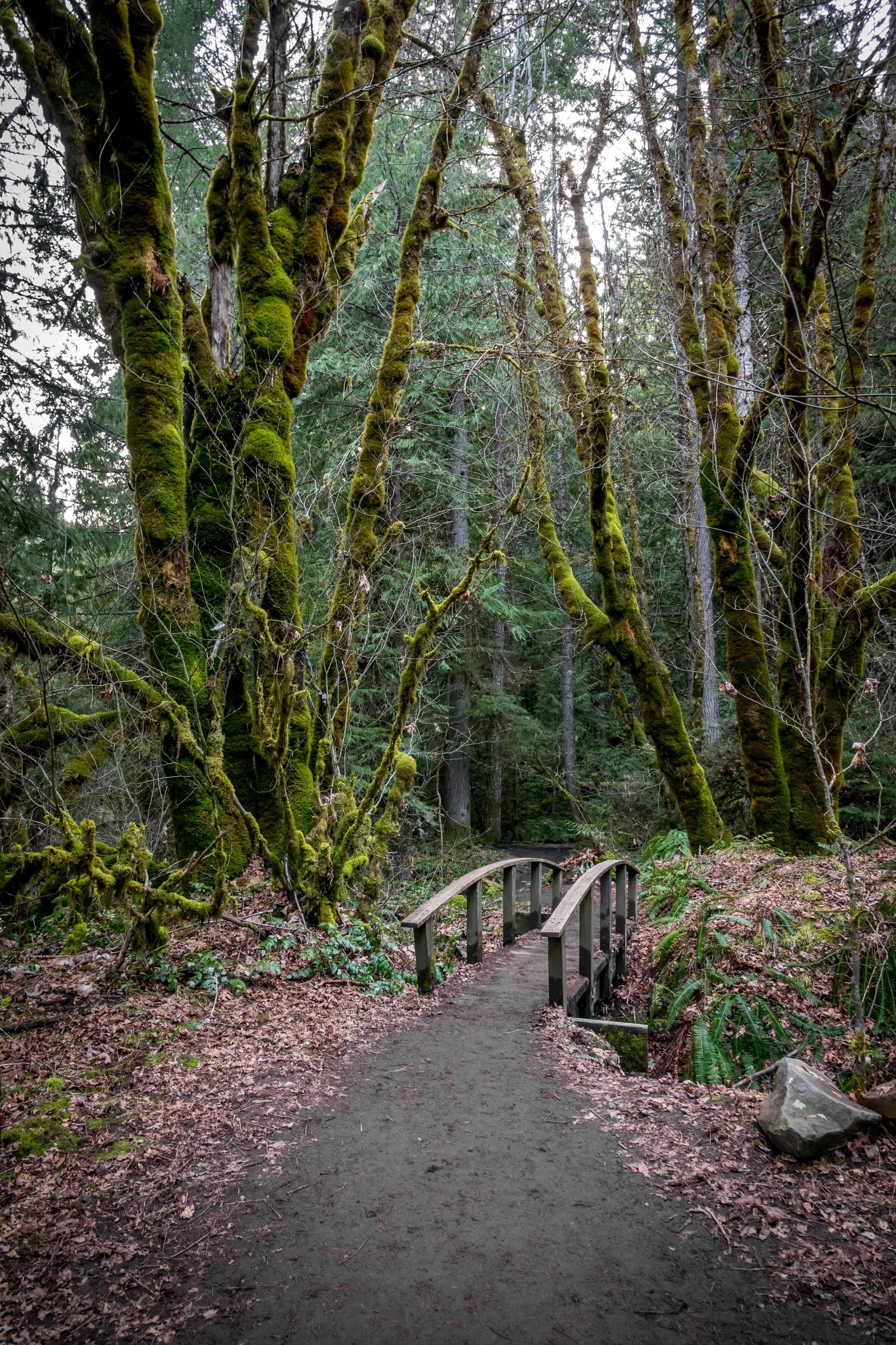 Oregon Coast Camping Road trip