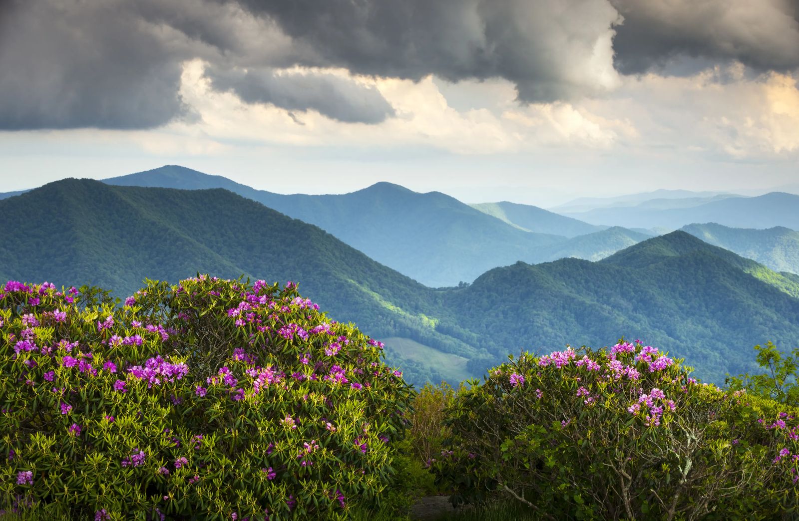 Things To Do in Smoky Mountain National Park