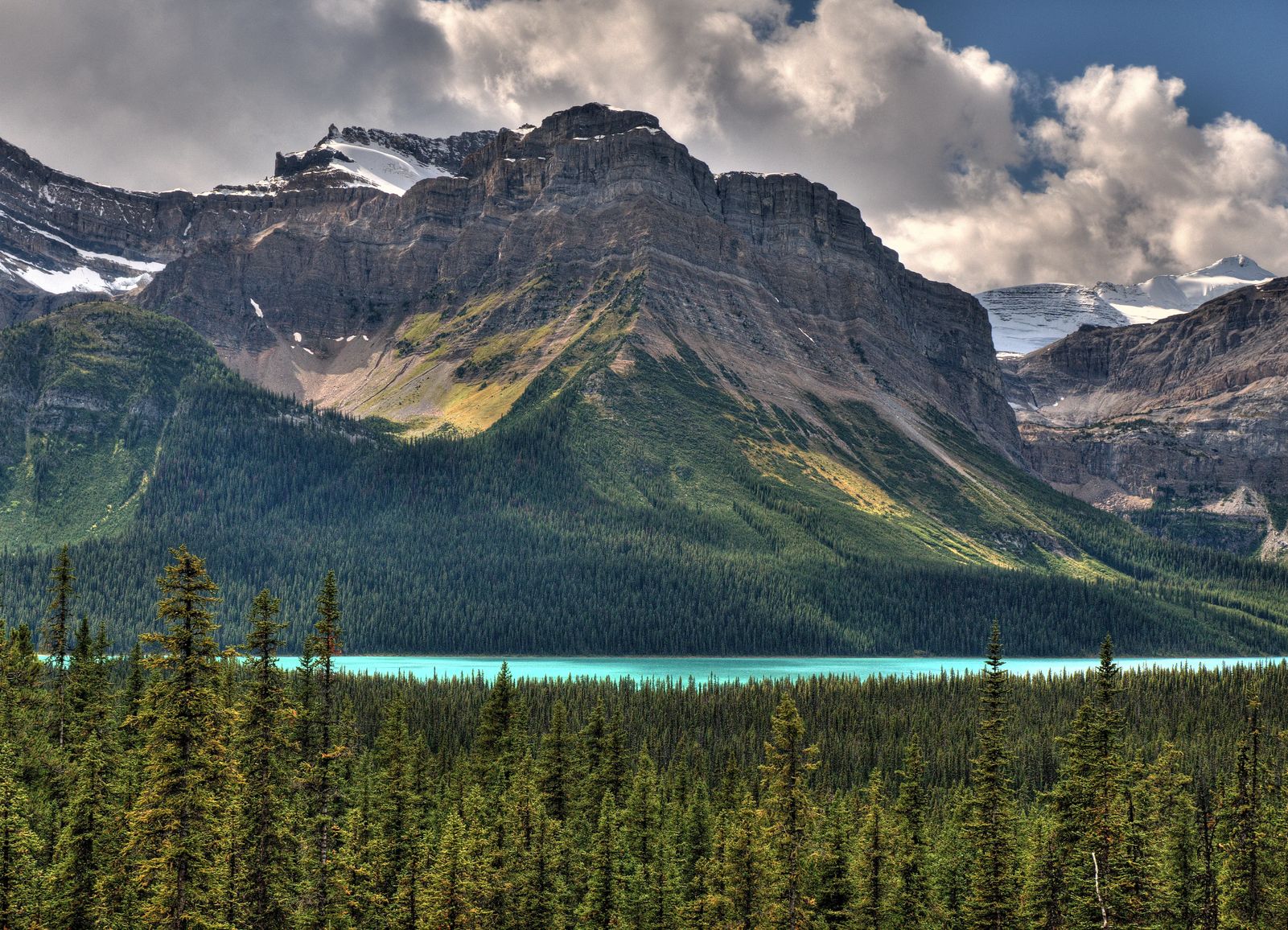 Hector Lake Viewpoint - The BEST of the Icefields Parkway Banff