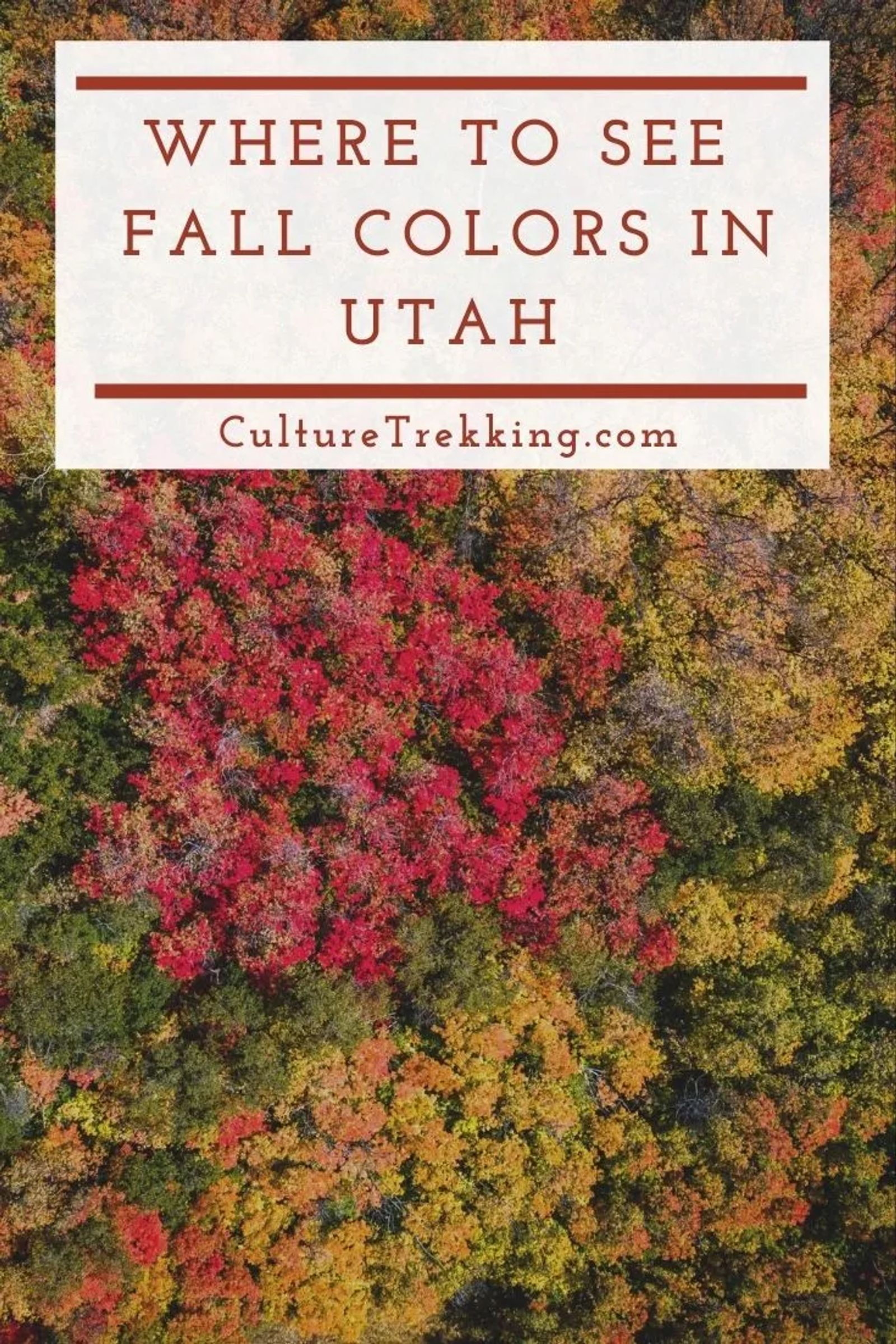 Utah Fall Color Report 2025