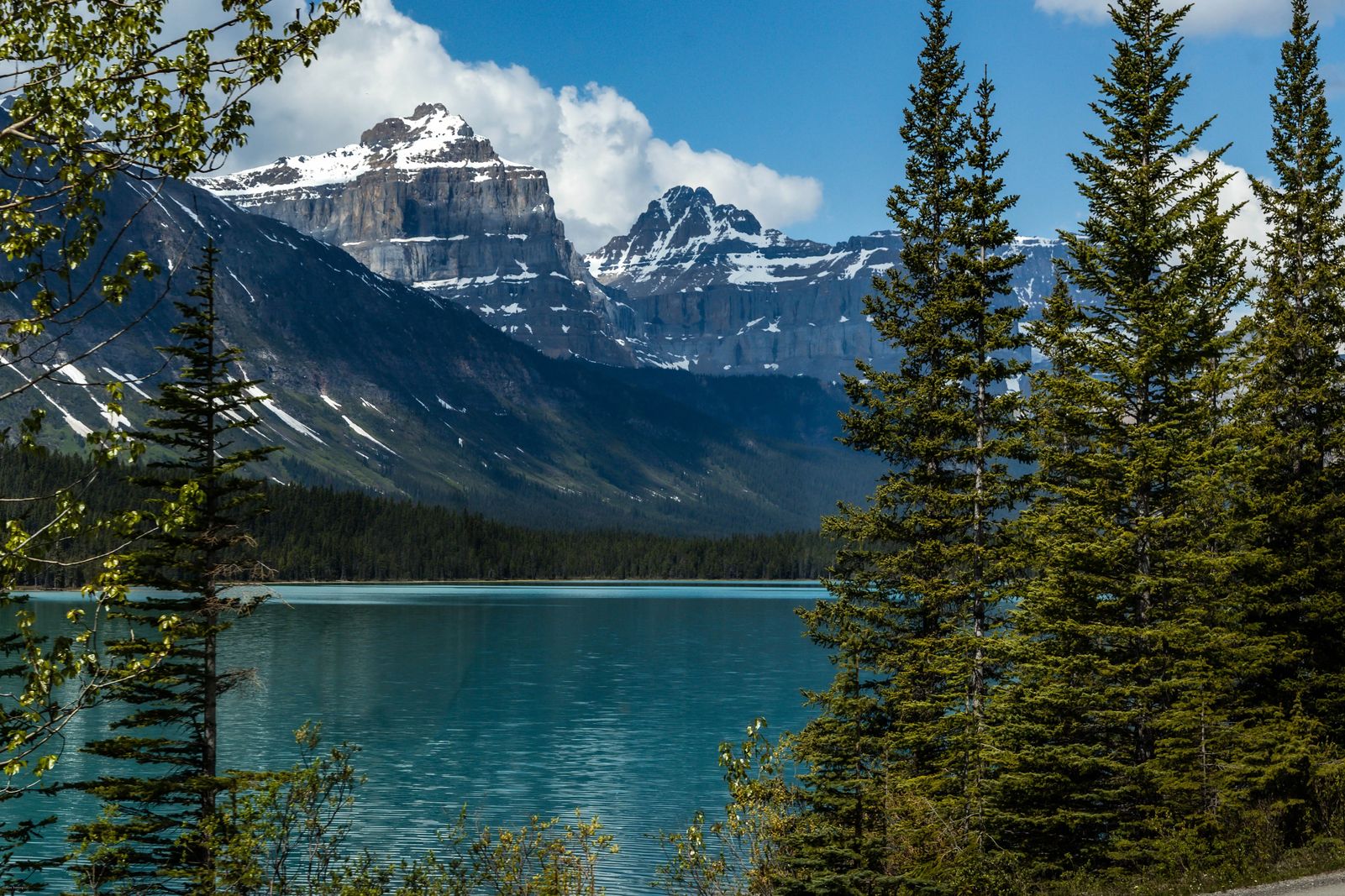 The BEST of the Icefields Parkway Banff