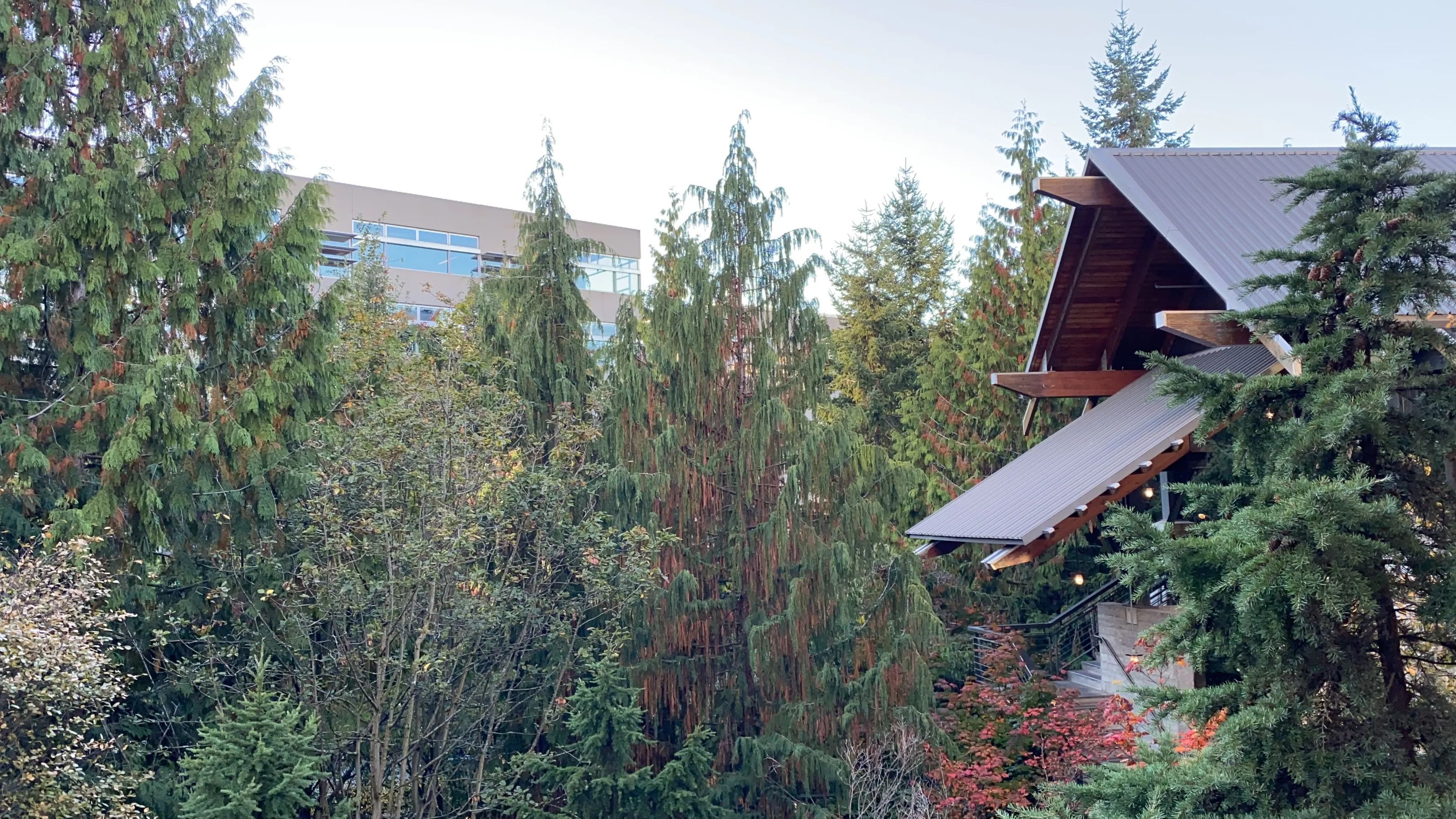 The Ultimate Guide to One Day In Seattle