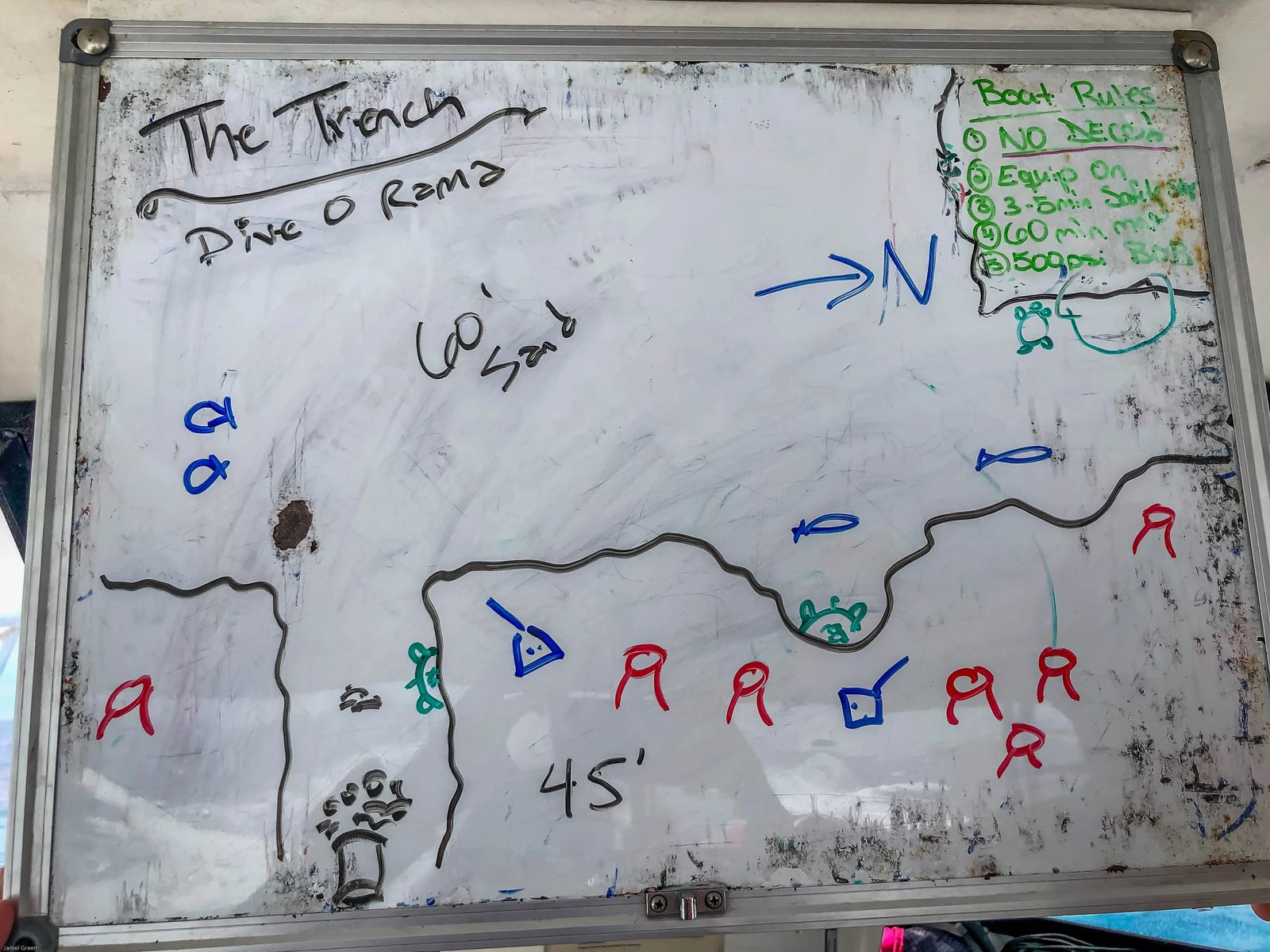 drawing of the trench on a white board. There are small fish drawn on the board, with turtles, manta rays, crab, and a 45 foot depth indicated 