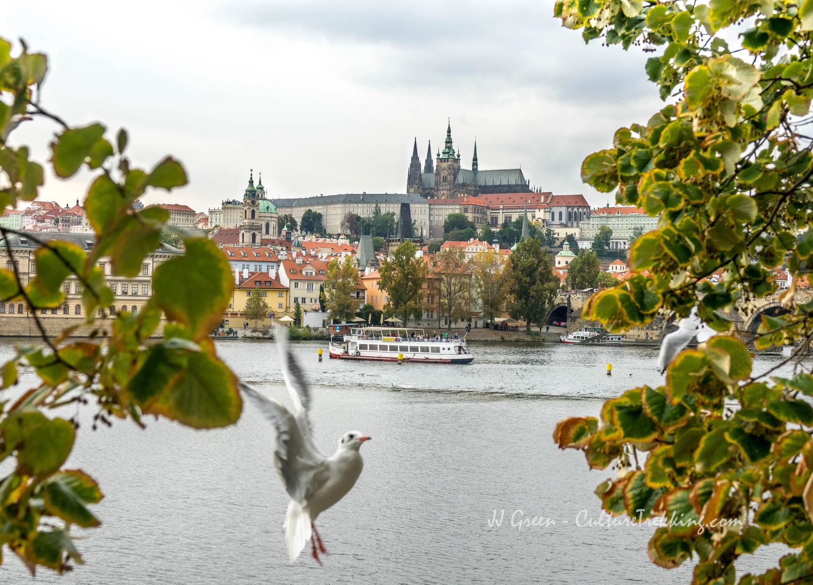 vltava River 5 European Cities You Will Fall In Love With