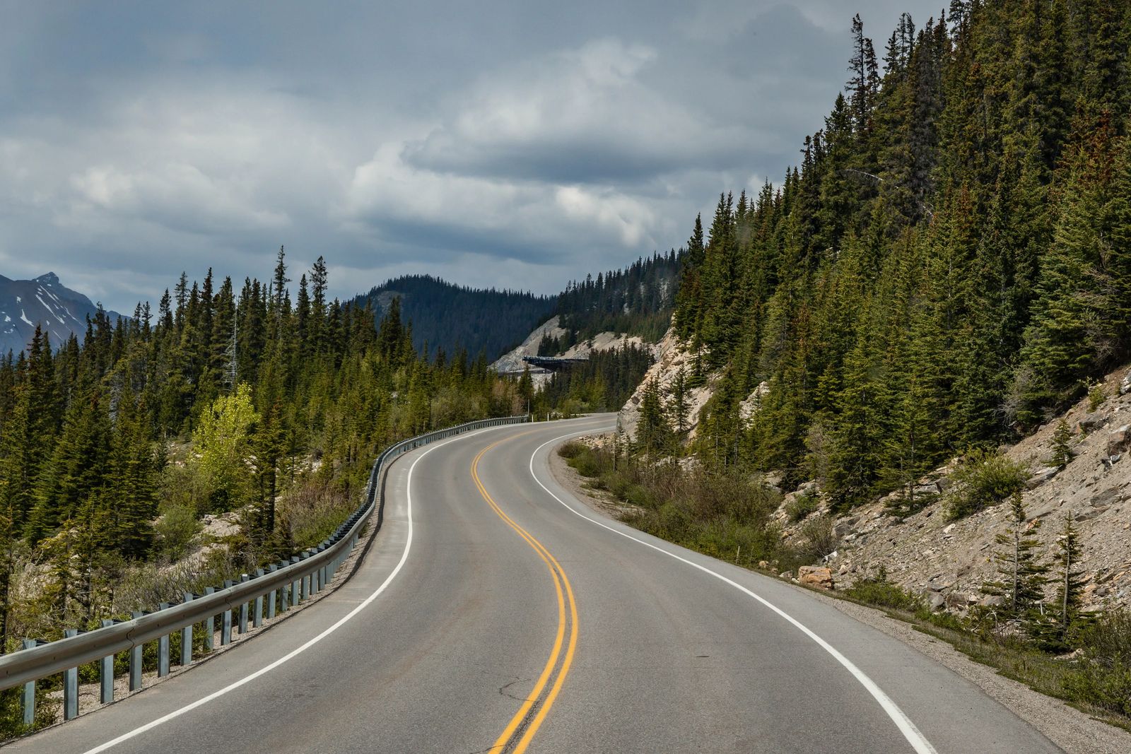 road weaving back and forth on the side of the mountain lined by tall pine trees