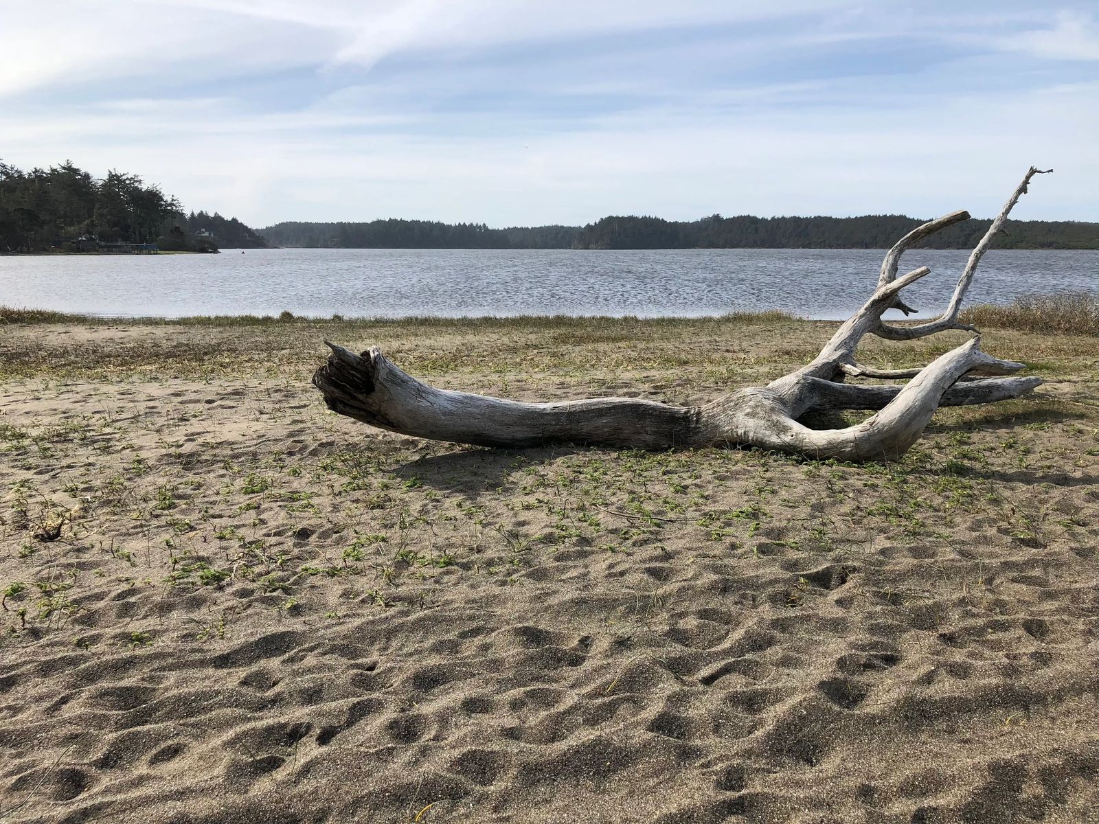 Oregon Coast Camping Road trip