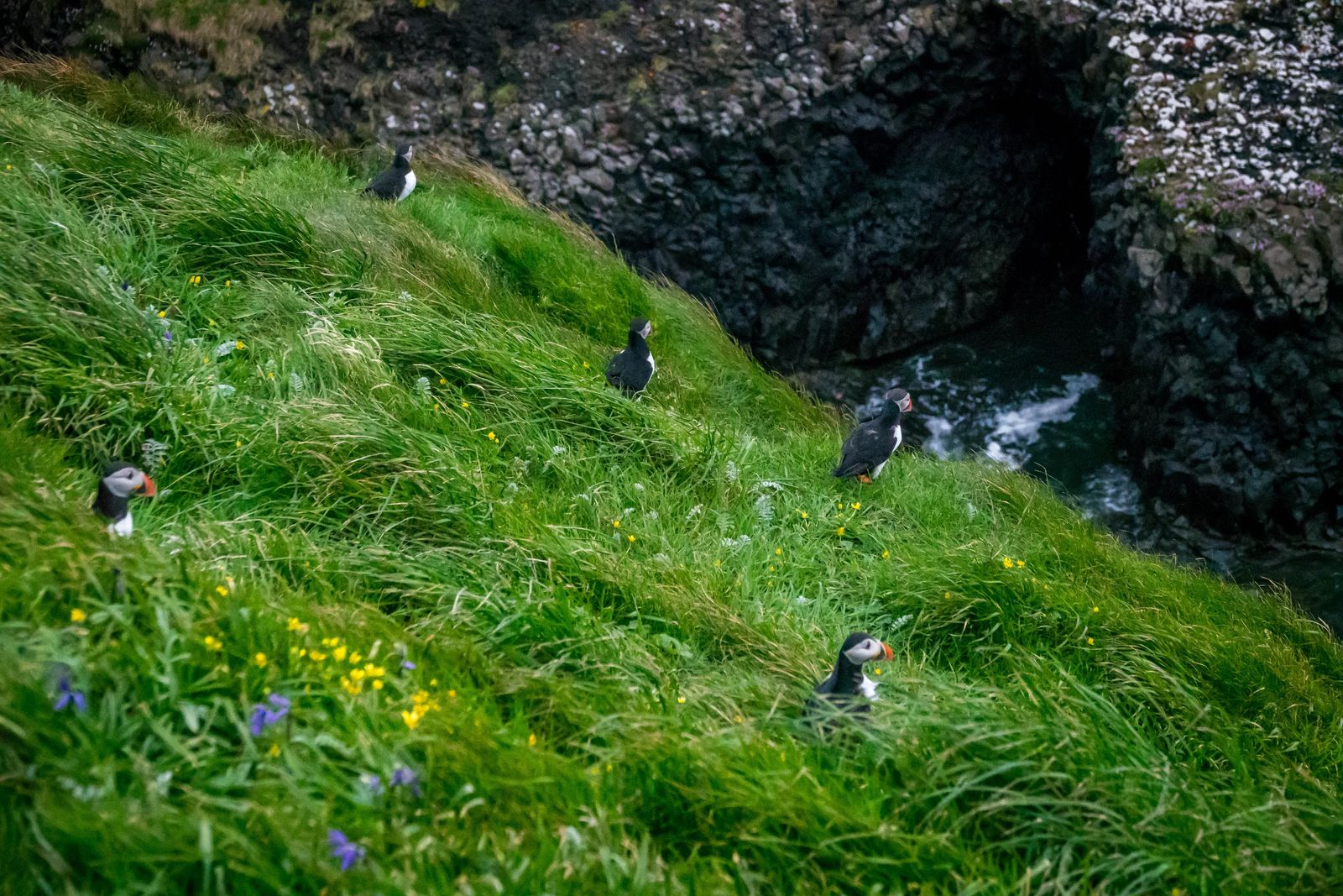 Fingal's Cave on Staffa Island in Scotland