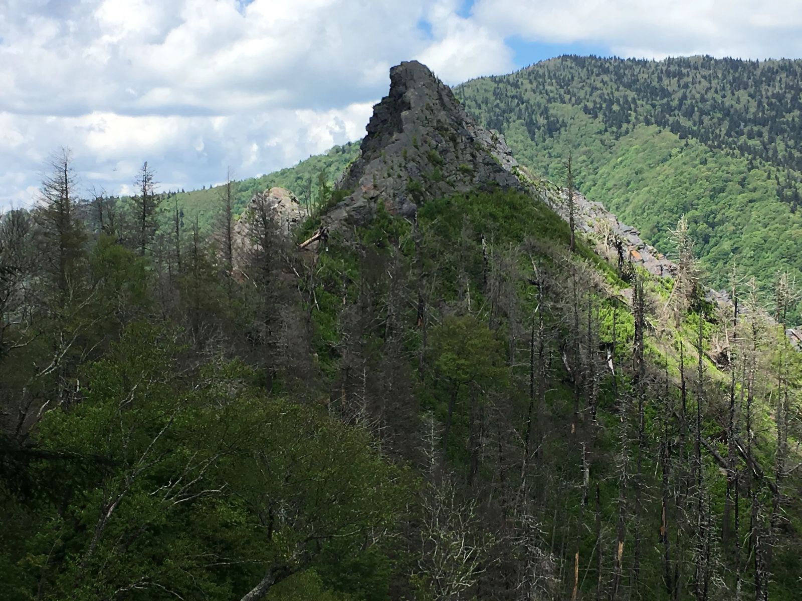 Things To Do in Smoky Mountain National Park