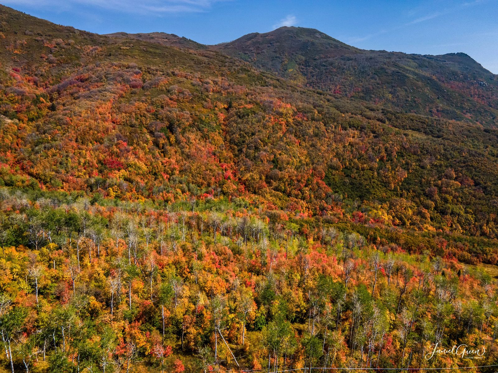 Best places to see fall colors in utah Big Cottonwood Canyon fall colors