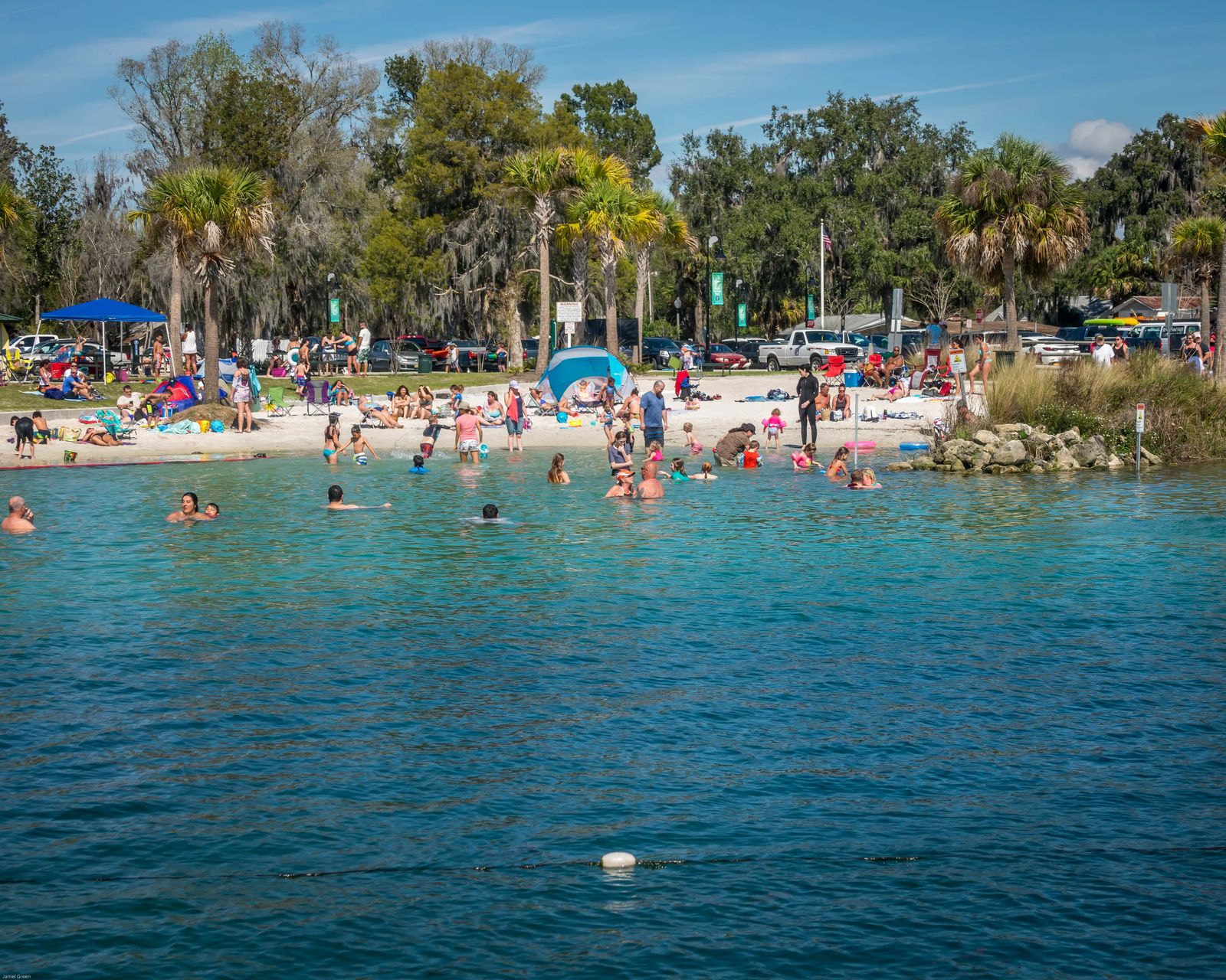 Swimming with Manatees in Crystal Rivers Florida