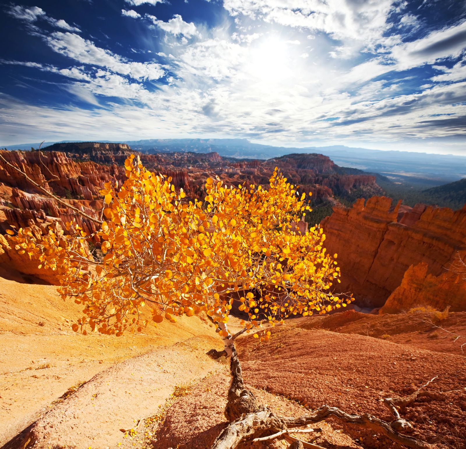 cedar breaks utah with beautiful fall colors