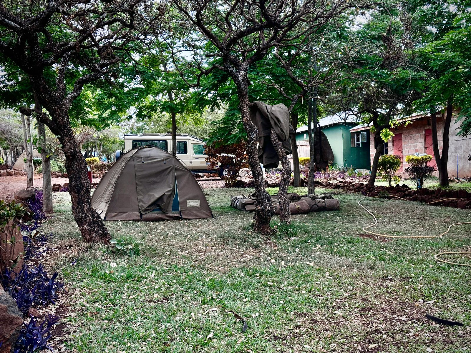 Tarangire Park Safari On A Budget