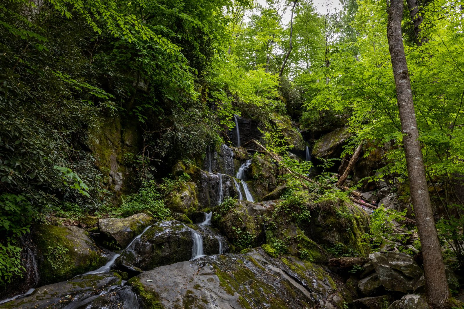 Things To Do in Smoky Mountain National Park