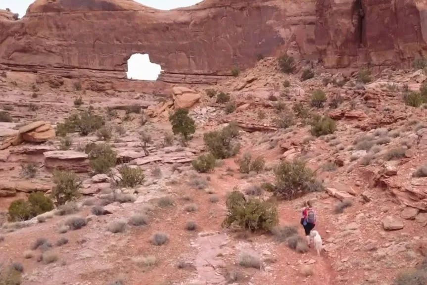 Dog Friendly Guide To Moab - Culture Trekking - #DogsinMoab #HikesforDogsinMoab #MoabUtah