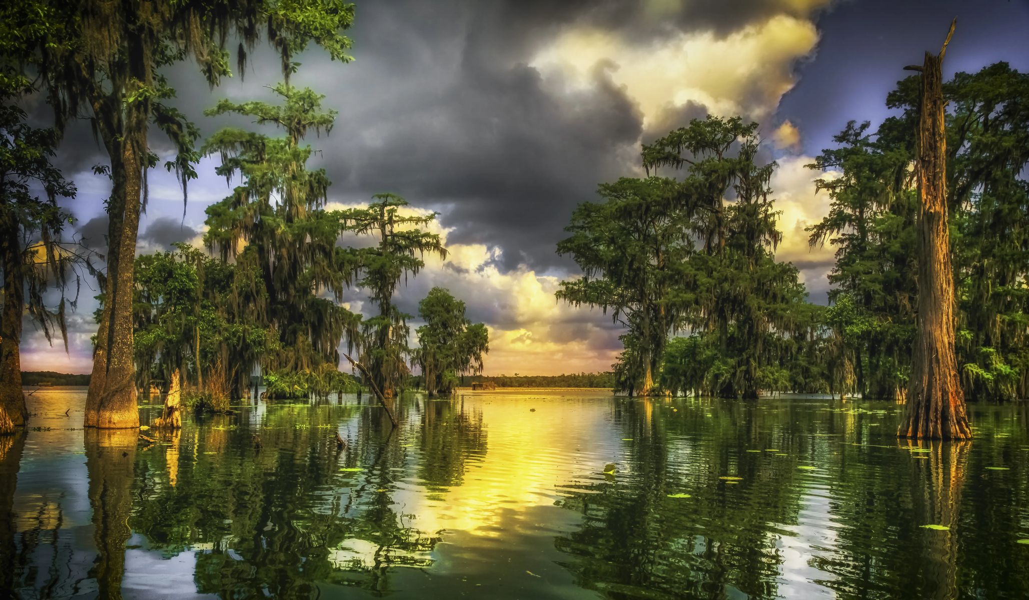 The Best Louisiana Plantations for Black History