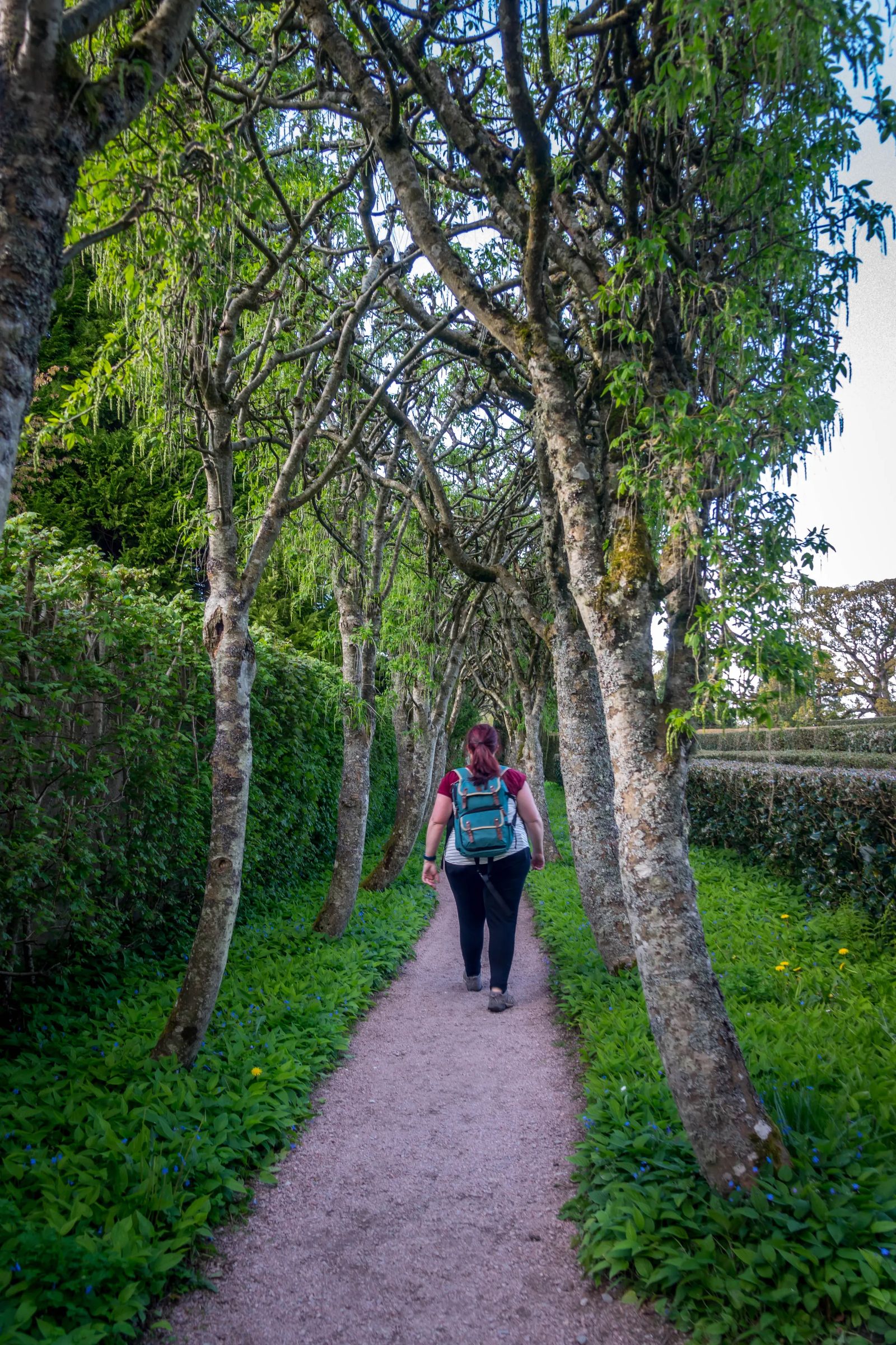 Cawdor Castle in Scotand