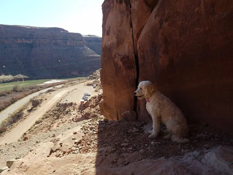 Dog Friendly Guide To Moab - Culture Trekking - #DogsinMoab #HikesforDogsinMoab #MoabUtah