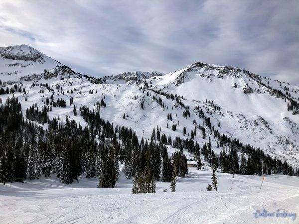 Why Alta Ski Resort Is the Best Ski Resort in Utah