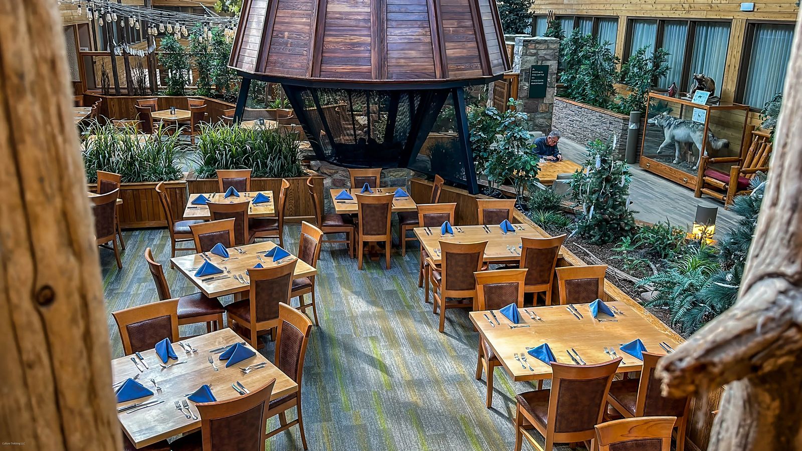 Best Places To Eat In Banff & Jasper