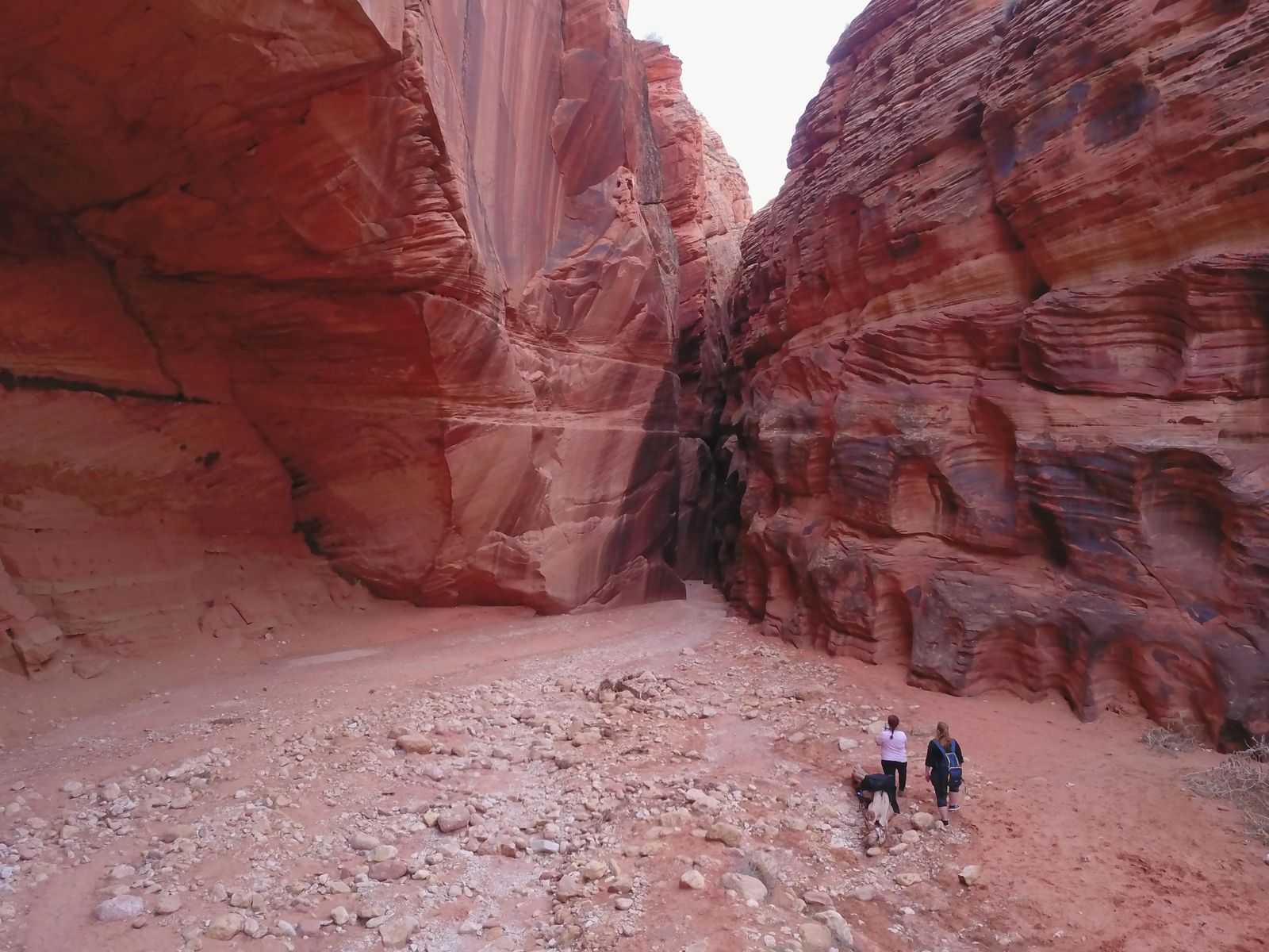 Wirepass to Buckskin Gulch, Things To Do In Kanab