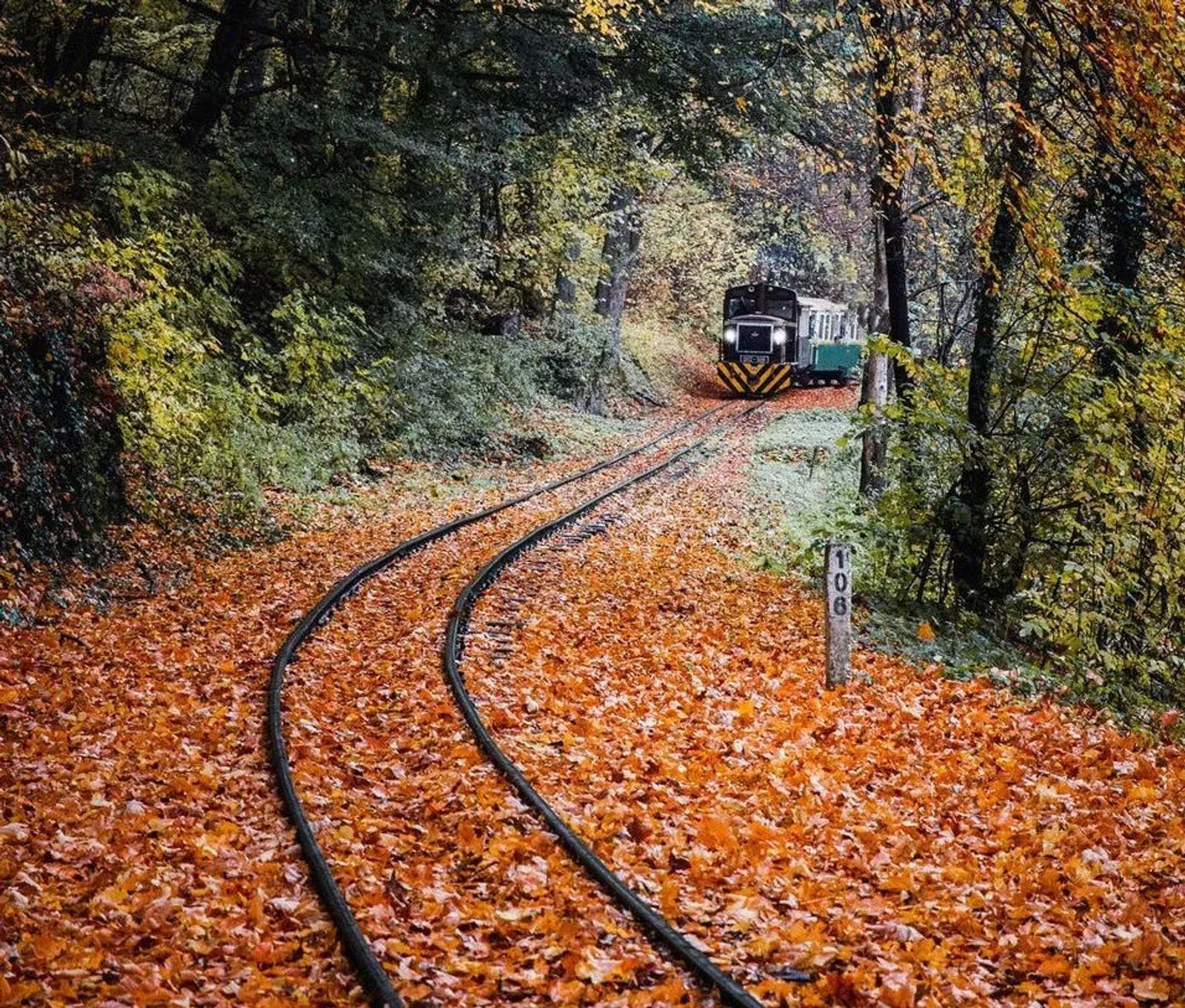 Halloween Activities near Salt Lake City Utah