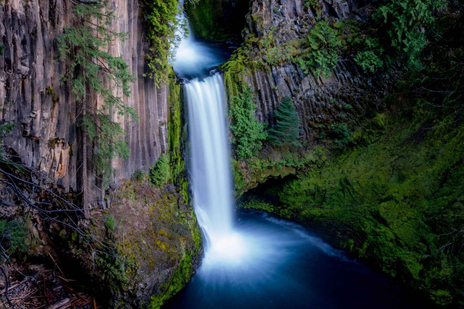 Oregon Coast Camping Road trip