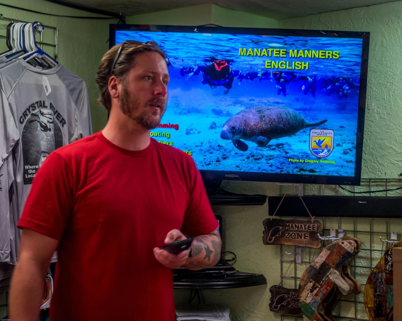 swimming with Manatees in Crystal Rivers Florida