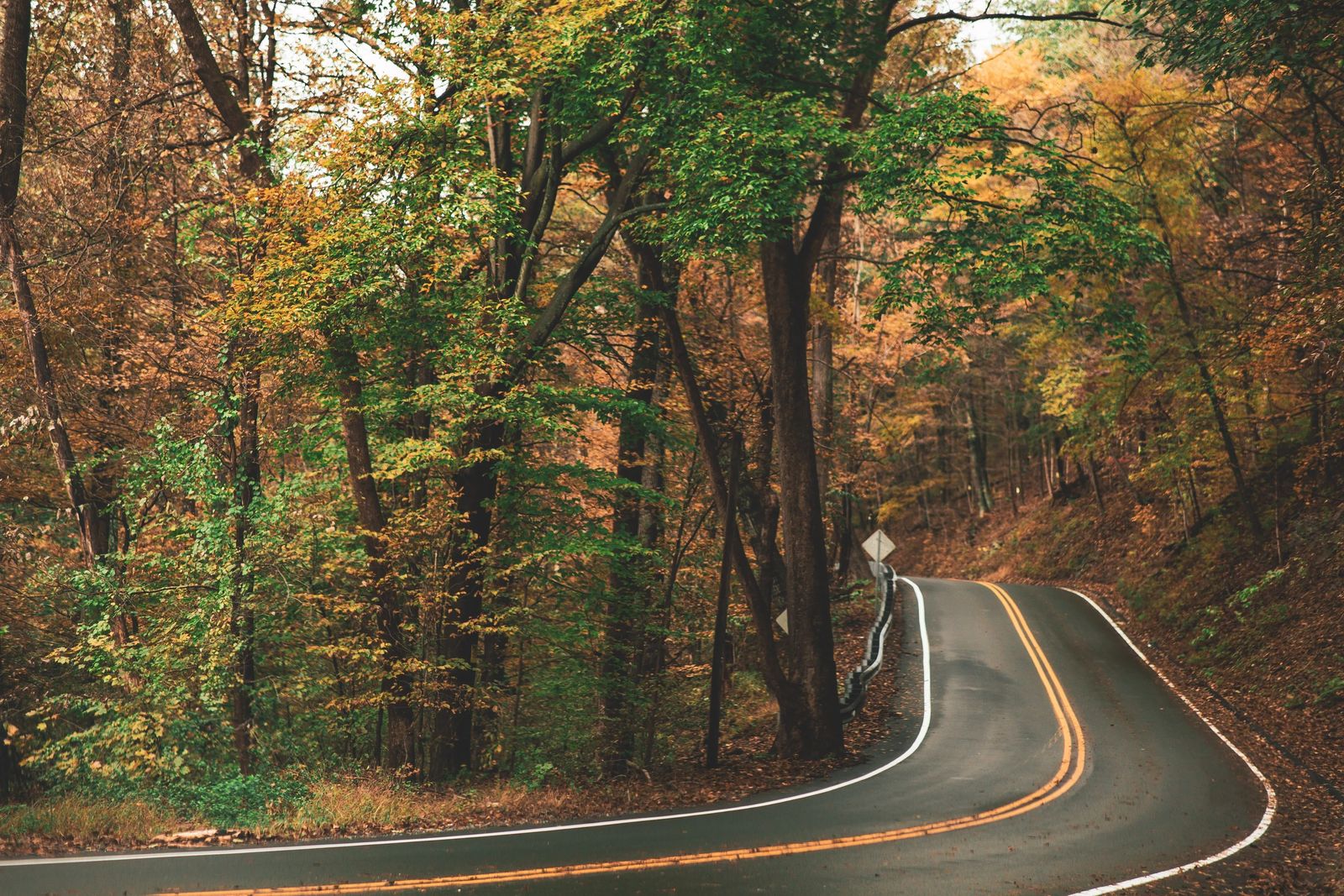 Scenic Road Trip For Fall Colors In The USA