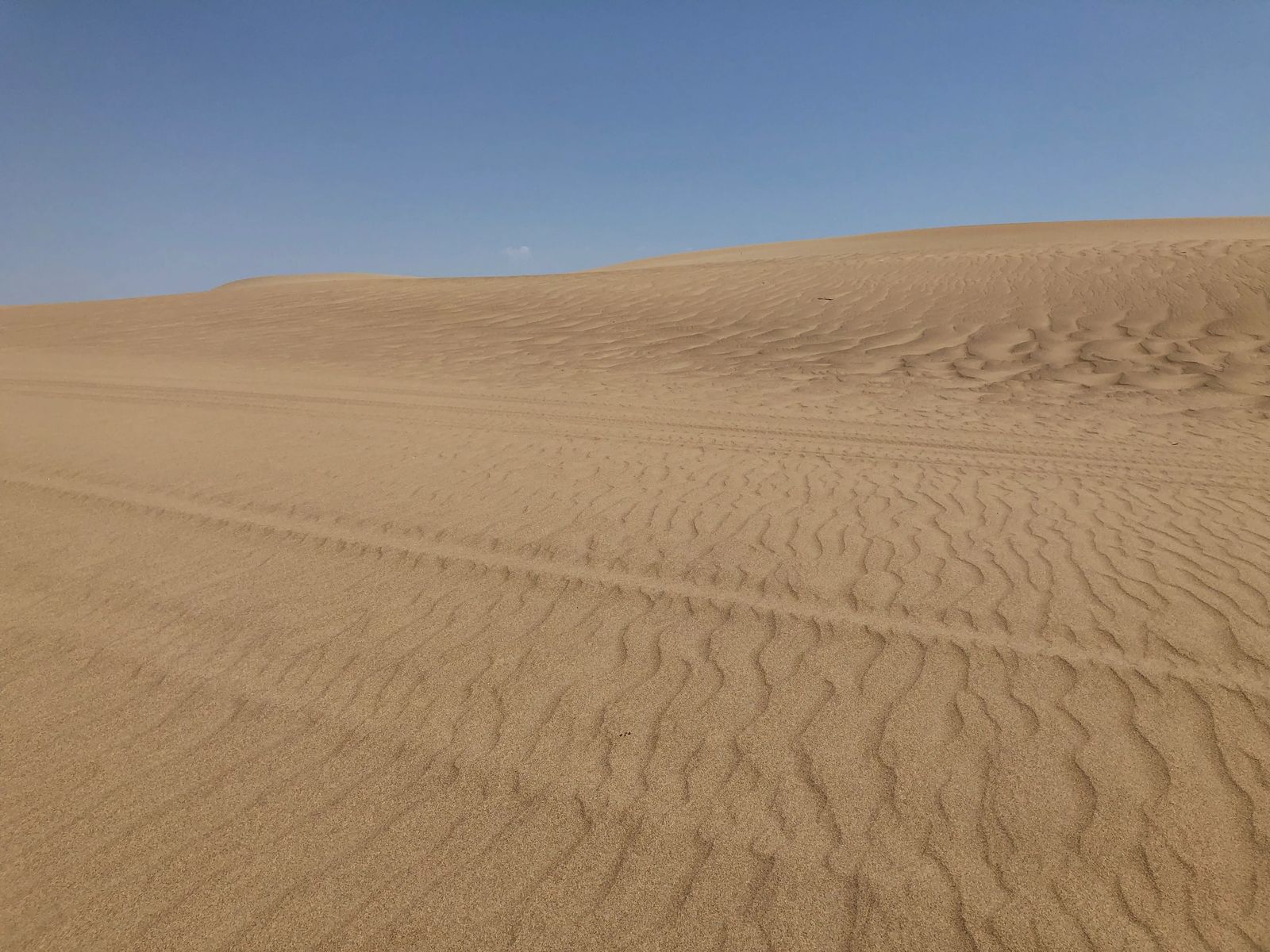 Paracas Desert in Peru a Dune Buggying Adventure