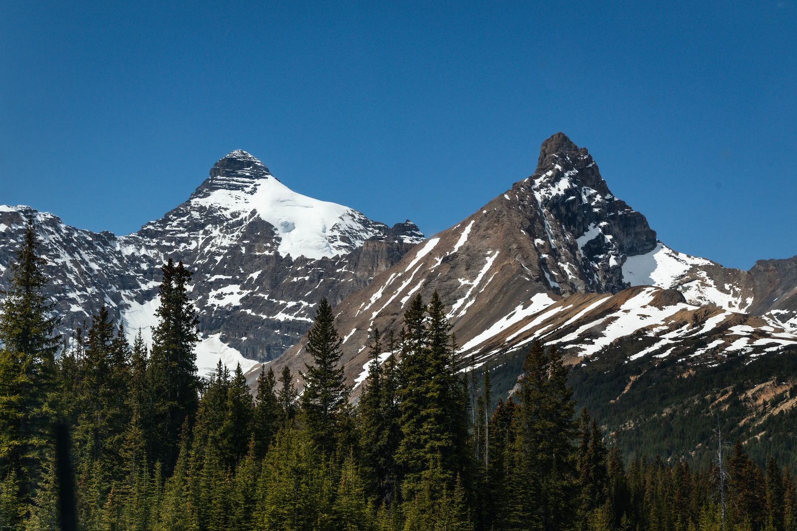 The BEST of the Icefields Parkway Banff