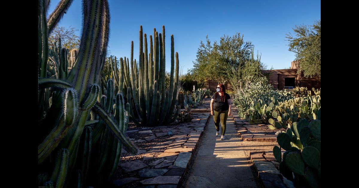 Things To Do In Downtown Phoenix in 48 Hours - Culture Trekking