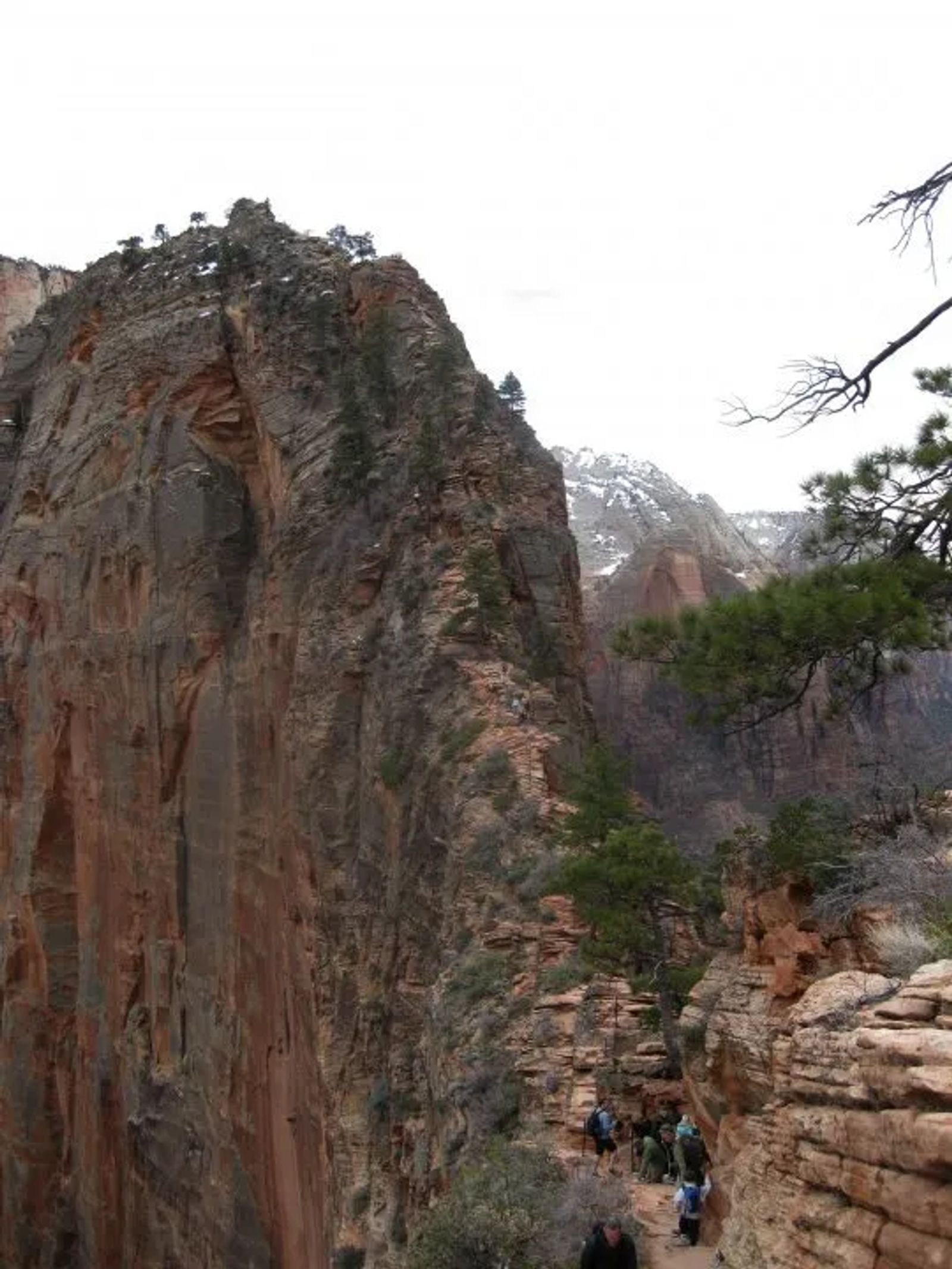 tips on hiking in Zion National Park