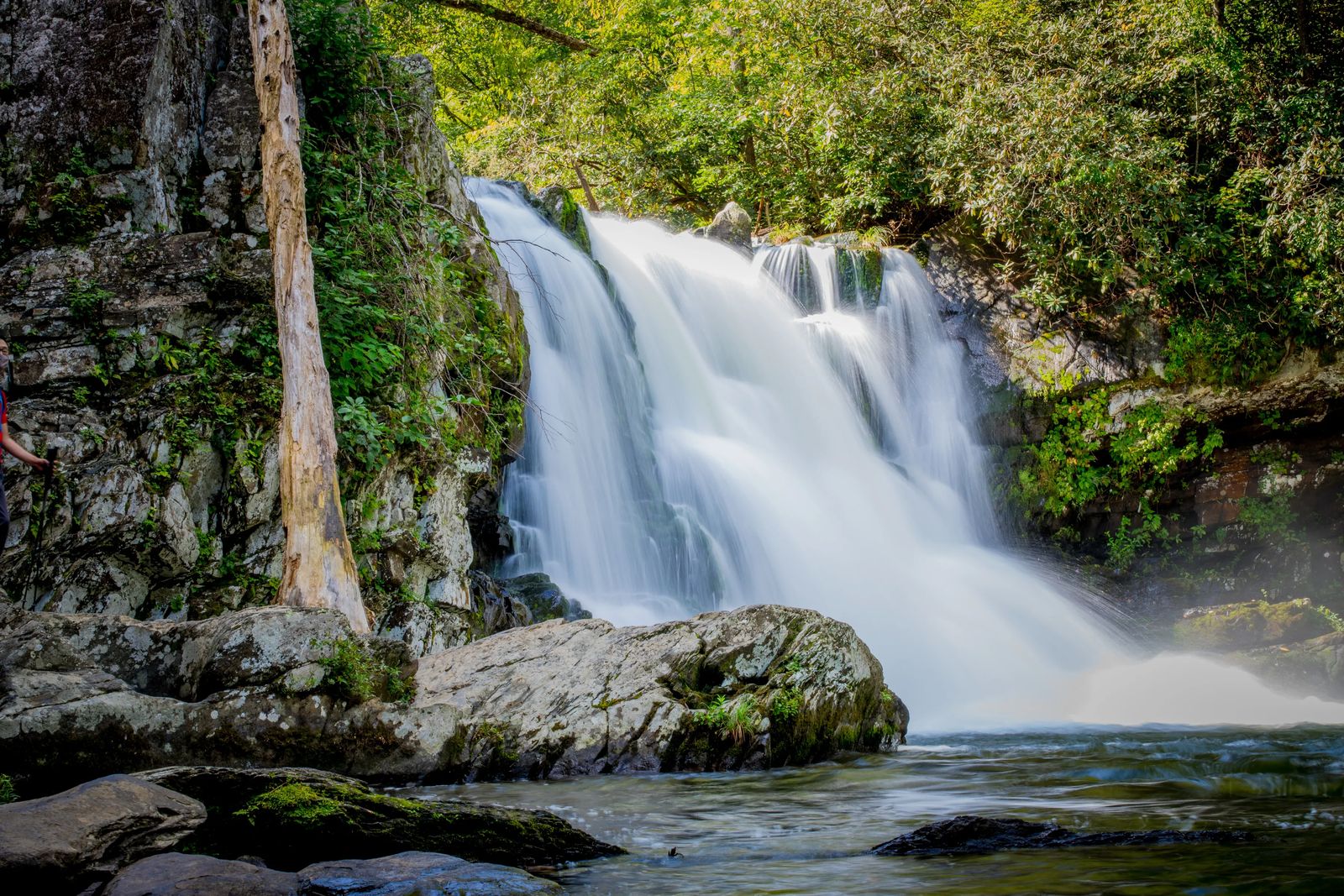 Things To Do in Smoky Mountain National Park