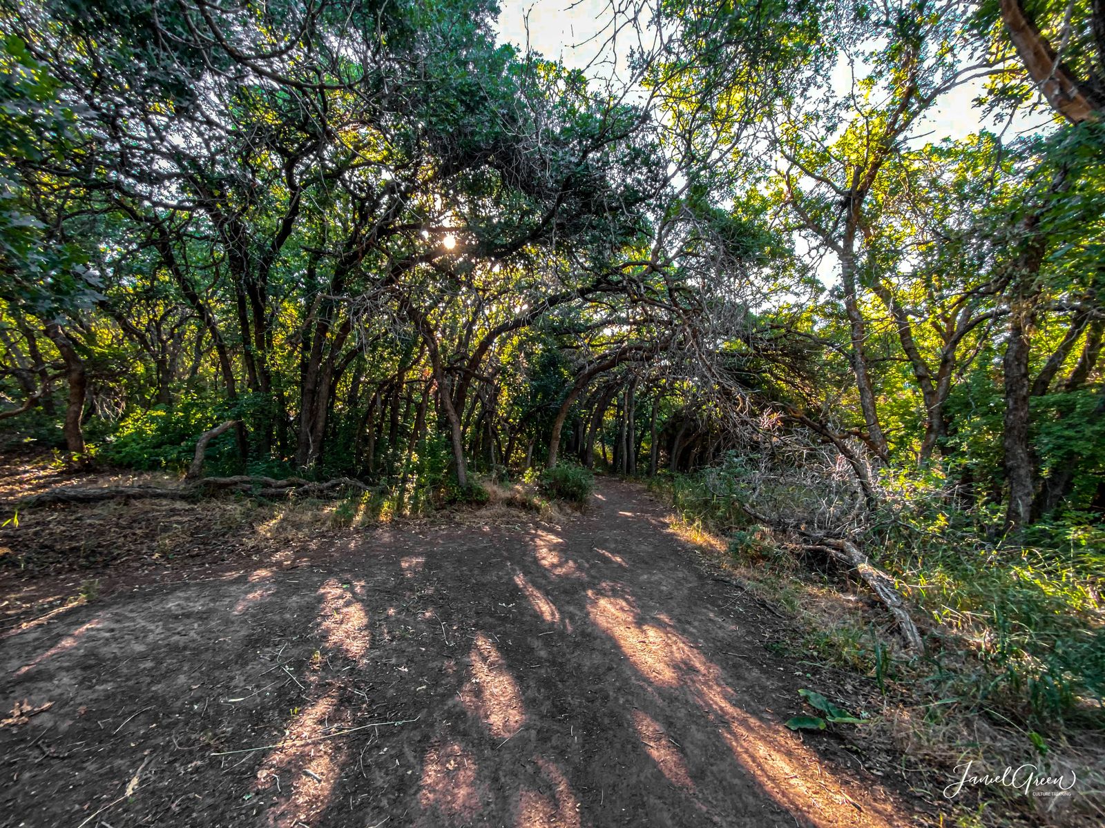 the living room trailhead utah