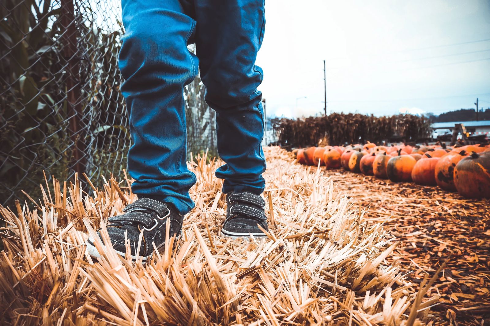 Thanksgiving activities near Salt Lake City - Serving the Homeless