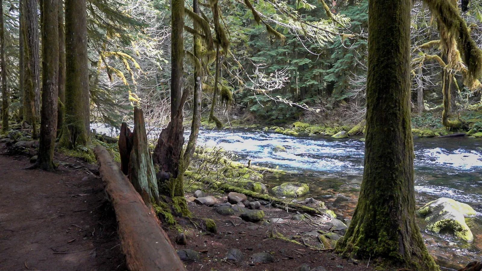 Oregon Coast Camping Road trip