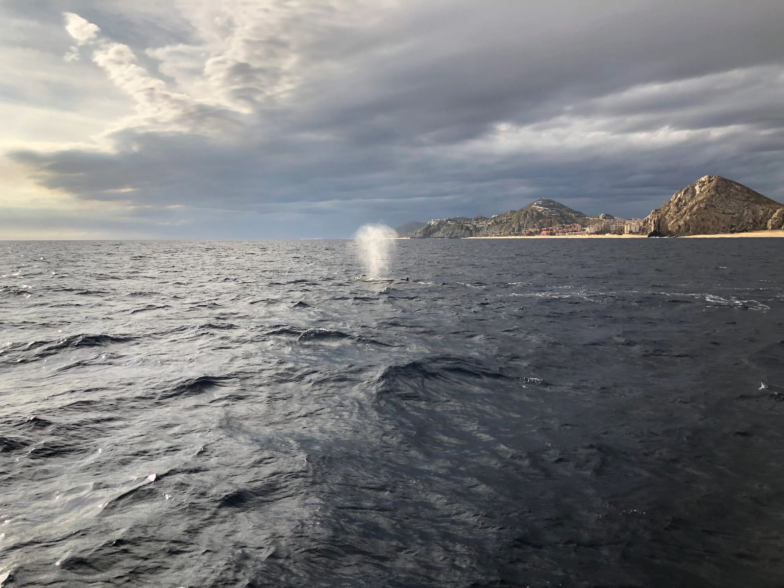 Diving in Cabo San Lucas Mexico - Culture Trekking - #CaboSanLucas #mexico #divingincabo