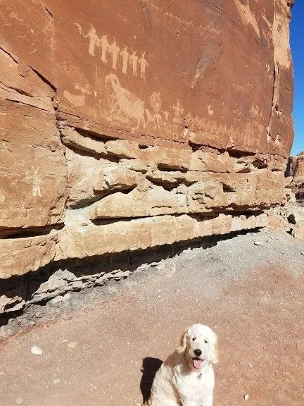 Dog Friendly Guide To Moab - Culture Trekking - #DogsinMoab #HikesforDogsinMoab #MoabUtah